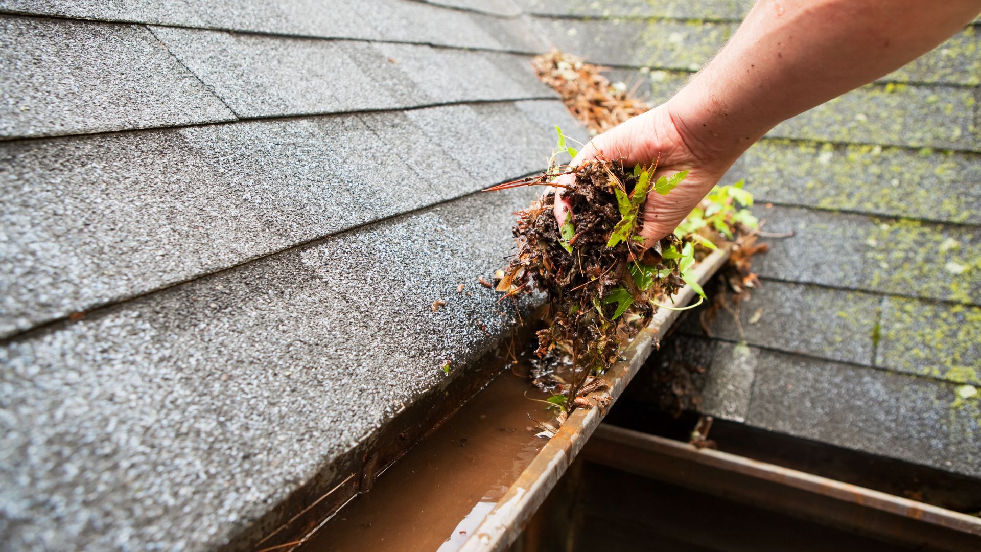 The Gutter Cleaning Process After a Michigan Winter