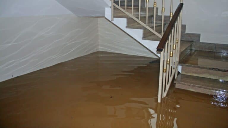 a photo of a fully flooded basement floor